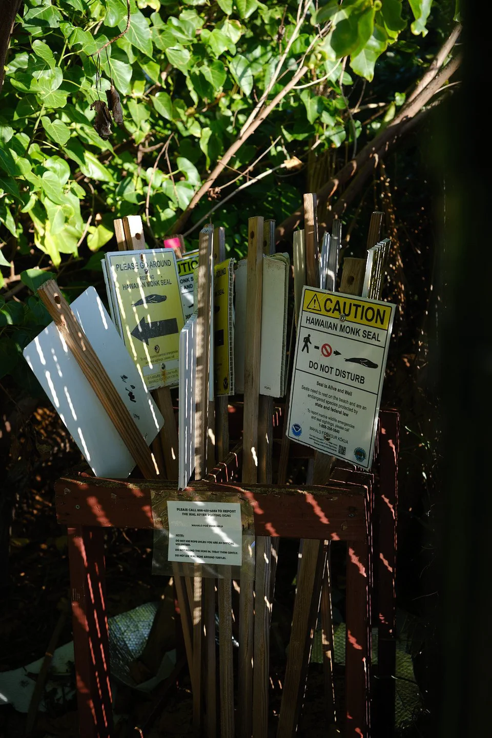 Kauaʻi 2024 photographic series by Chris Beckman, 3-22