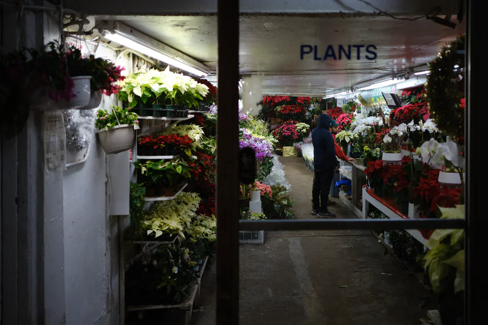 New York City 2025 photographic series by Chris Beckman, 8-14