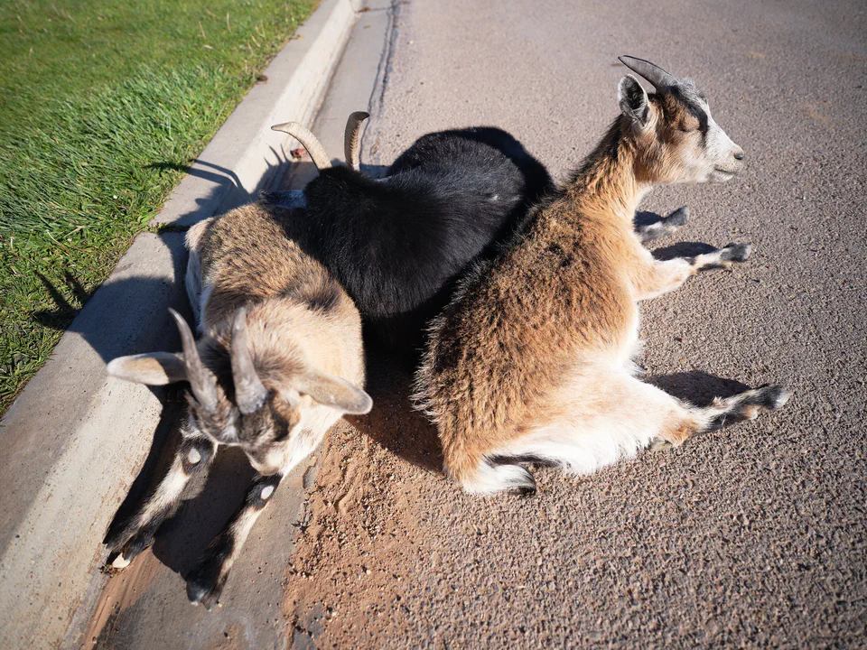 Utah 2025 photographic series by Chris Beckman, 2-12